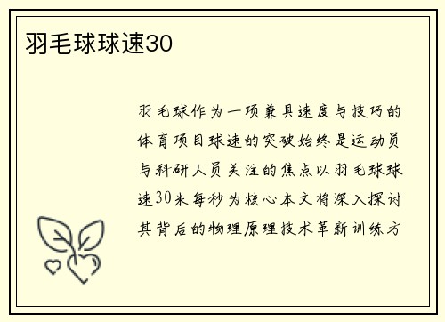 羽毛球球速30