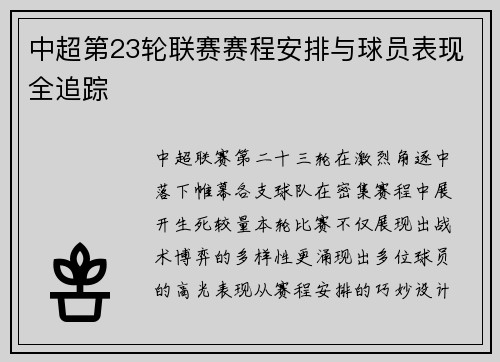 中超第23轮联赛赛程安排与球员表现全追踪